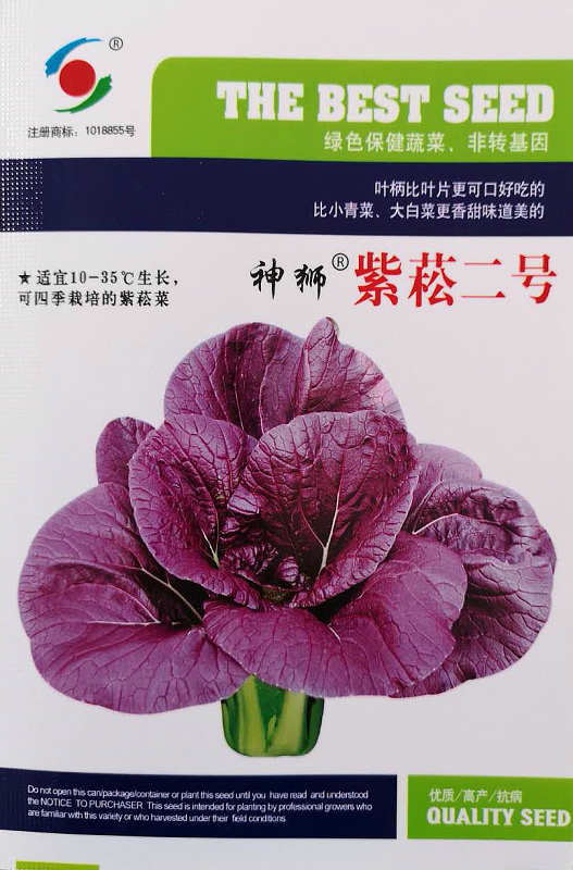 紫菘二号——紫红保健菜